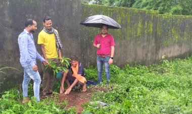 आदिम जाति सेवा सहकारी समिति गम्हरिया,दुलदुला और आरा में किया गया पौध रोपण 