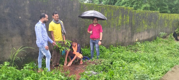 आदिम जाति सेवा सहकारी समिति गम्हरिया,दुलदुला और आरा में किया गया पौध रोपण 
