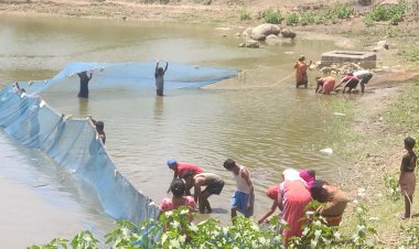 समूह की महिलाएं 2 लाख 50 हजार रूपए की आमदनी कर रही अर्जित