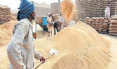 छत्तीसगढ़ में आज से शुरू होगी धान खरीदी, खाद्य मंत्री दयालदास बघेल करेंगे शुभारंभ, प्रदेश में बनाए गए 2739 केंद्र