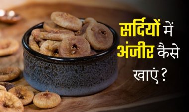 सर्दियों में क्यों बढ़ जाती है अंजीर की डिमांड? डॉक्टर ने बताया सेहत का असली ‘विंटर फॉर्मूला’