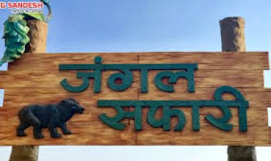 CG : जंगल सफारी के लिए गाड़ियों की बुकिंग अब हो सकेगी ऑन-लाइन