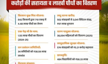 हरियाली से आर्थिक रूप से सशक्त हुए मोहला जिले के ग्रामीण