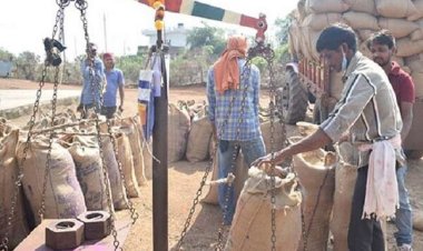 प्रदेश में धान खरीदी जारी, राज्य में अब तक उपार्जित किए गए 23.67 लाख क्विंटल धान