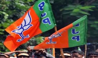 Breaking : BJP ने इस जिले में की पदाधिकारियों की घोषणा, जानिए किसे क्या जिम्मेदारी मिला?