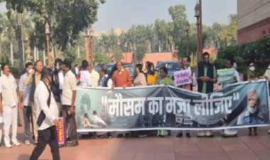 किस मौसम का मजा लें, बाहर देखें न क्या स्थिति बनी हुई है’,… संसद परिसर में प्रदूषण पर विपक्ष का प्रदर्शन, जानें कांग्रेस नेता प्रियंका गांधी ने क्या कहा ?