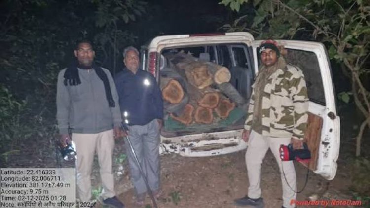 बिलासपुर के जंगलों में बड़े पैमाने पर सागौन लकड़ी की तस्करी हो रही