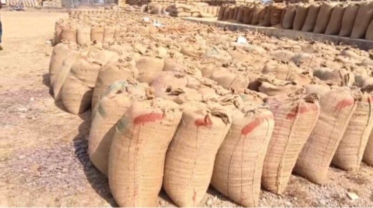 CG : धान कृषि केंद्र में मंडी प्रभारी की लापरवाही, सीधे जमीन पर रखा गया हजारों क्विंटल धान