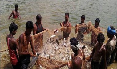 प्रधानमंत्री मत्स्य सम्पदा योजना से जिले में आई मत्स्य क्रांति, किसानों व मछुवारों की बदली आर्थिक तस्वीर