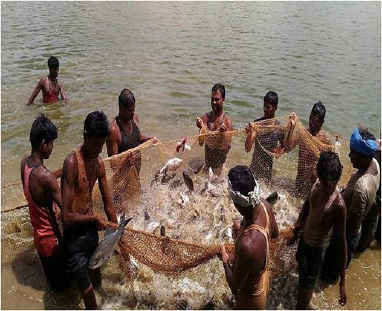 प्रधानमंत्री मत्स्य सम्पदा योजना से जिले में आई मत्स्य क्रांति, किसानों व मछुवारों की बदली आर्थिक तस्वीर