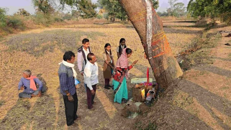 CG – नीम के पेड़ में चमत्कार! अचानक बहने लगी दूध की धारा, पीने के बाद शारीरिक कष्ट दूर होने का दावा, पूजा-पाठ करने वालों की लगी होड़…..