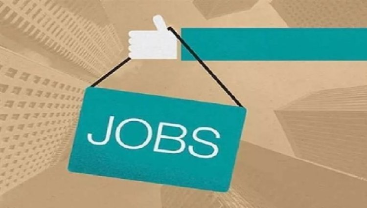 रायपुर में 15 हजार युवाओं को मिलेगी नौकरी: 3 दिन चलेगा राज्य स्तरीय रोजगार मेला