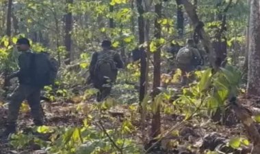 बीजापुर में सुरक्षा बलों और नक्सलियों में मुठभेड़: 2 वर्दीधारी नक्सली ढेर, हथियार बरामद