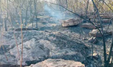 सारंगढ़-बिलाईगढ़ जिले के बिलाईगढ़ वन परिक्षेत्र स्थित रेल कॉरिडोर कक्ष क्रमांक 408 में गुरुवार को भीषण आग लग गई