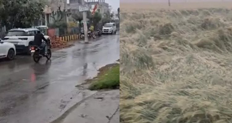 मध्य प्रदेश में बदला मौसम, भोपाल-उज्जैन समेत 20 जिलों में बारिश, फसलों को पहुंचा नुकसान