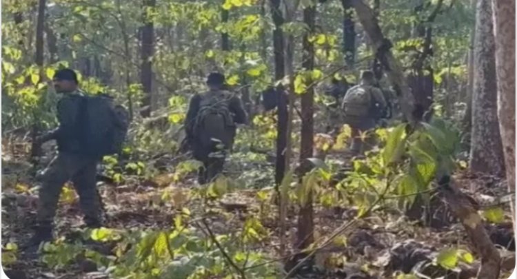 बीजापुर में सुरक्षा बलों और नक्सलियों में मुठभेड़: 2 वर्दीधारी नक्सली ढेर, हथियार बरामद