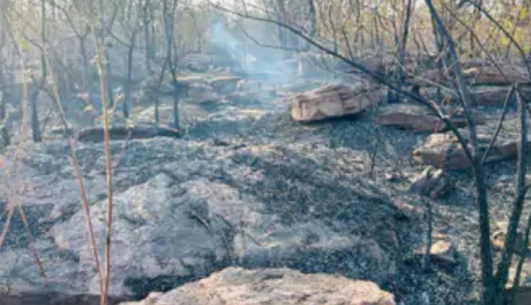 सारंगढ़-बिलाईगढ़ जिले के बिलाईगढ़ वन परिक्षेत्र स्थित रेल कॉरिडोर कक्ष क्रमांक 408 में गुरुवार को भीषण आग लग गई