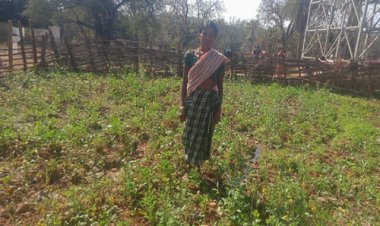 महतारी वंदन योजना से बदली जिंदगी की तस्वीर : सुखी पुनेम बनीं आत्मनिर्भरता और पोषण की मिसाल