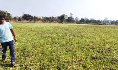 राष्ट्रीय बागवानी मिशन से किसान प्रमोद बने आत्मनिर्भर