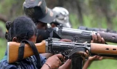 सुकमा में एक नक्सली ढेर, पोलमपल्ली के जंगल में मुठभेड़ हुई