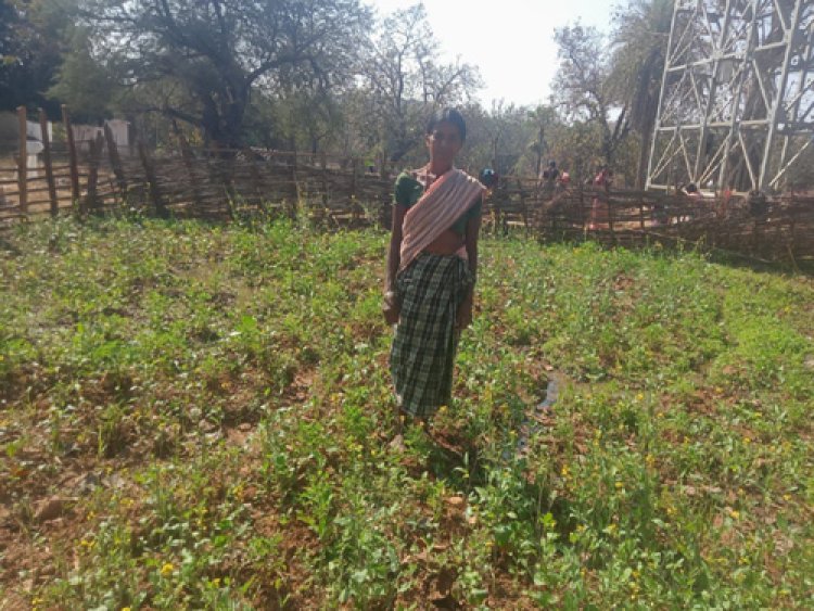 महतारी वंदन योजना से बदली जिंदगी की तस्वीर : सुखी पुनेम बनीं आत्मनिर्भरता और पोषण की मिसाल