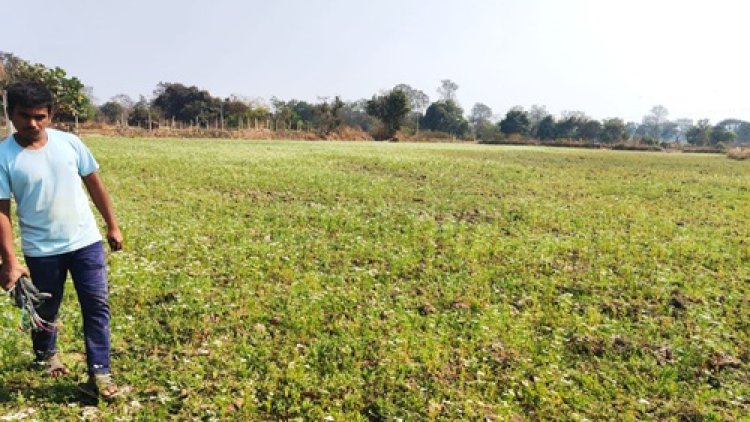 राष्ट्रीय बागवानी मिशन से किसान प्रमोद बने आत्मनिर्भर