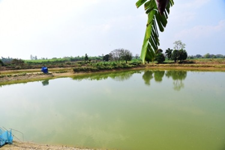 मछलीपालन और कृषि से ग्राम पल्ली के किसान पाकलू मरकाम हुए सशक्त