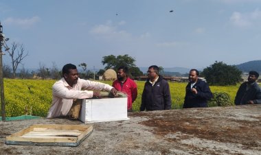 किसानों के लिए मधुमक्खी पालन कम लागत में ज्यादा मुनाफा 
