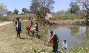 स्वच्छता ही सेवा: ग्राम पंचायत झिमकी में सरपंच और उपसरपंच के नेतृत्व में ग्रामीणों ने किया तालाब का कायाकल्प"