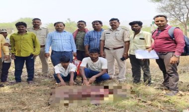जंगली सुवर का शिकार करते 2 आरोपी गिरफ्तार, 4 अन्य आरोपियों की तलाश जारी