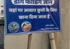 स्ट्रीट डॉग के लिये निगम ने चिन्हांकित किये फीडिंग जोन