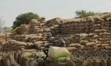 CHHATTISGARH : 27,900 क्विंटल धान गायब से हड़कंप