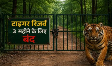 पर्यटकों को बड़ा झटका ! छत्तीसगढ़ में आज से 3 महीने तक बंद रहेंगे टाइगर रिजर्व, राष्ट्रीय उद्यान और अभयारण्य