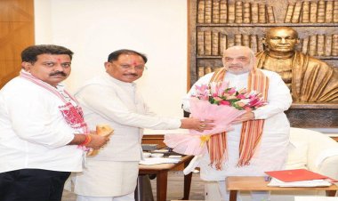 छत्तीसगढ़ में अखिल भारतीय आयुर्वेद संस्थान के स्थापना का प्रस्ताव, अमित शाह से मिले मुख्यमंत्री विष्णुदेव साय