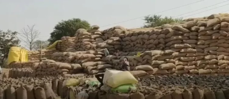 CHHATTISGARH : 27,900 क्विंटल धान गायब से हड़कंप