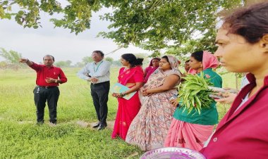 धमतरी मॉडल बना देश के लिए प्रेरणा, औषधीय खेती से महिलाओं की बदली तकदीर….