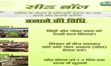 विशेष लेख : सीड बॉल अभियान- हरियाली बढ़ाने का सरल और प्रभावी माध्यम  जनभागीदारी से साकार हो रहा हरित छत्तीसगढ़ का संकल्प