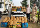 जशपुर पुलिस द्वारा दो अलग-अलग थाना क्षेत्रों में 520 किलो गांजा जब्त, एक महिला सहित चार तस्कर गिरफ्तार