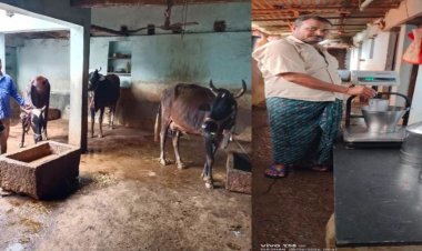 ​नस्ल सुधार और बेहतर प्रबंधन का कमाल, प्रतिदिन 40 लीटर दूध उत्पादन और 50 हजार रुपये तक मासिक कमाई