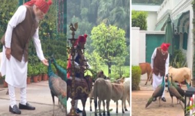 PM मोदी ने इंस्टाग्राम पर ‘दोस्तों’ संग खास पल किए साझा, बोले- ‘हर सुबह उन्हें खाना खिलाना मेरी दैनिक दिनचर्या’
