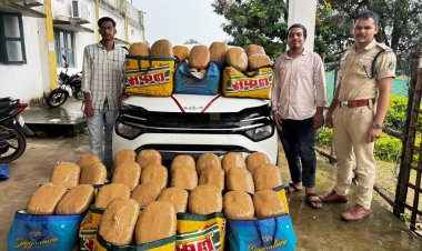 जशपुर पुलिस द्वारा दो अलग-अलग थाना क्षेत्रों में 520 किलो गांजा जब्त, एक महिला सहित चार तस्कर गिरफ्तार