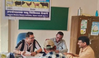 पशुपालन केसीसी से धमतरी के 93 पशुपालकों को मिली 98.62 लाख की वित्तीय संजीवनी